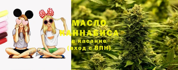 гашик Алексин
