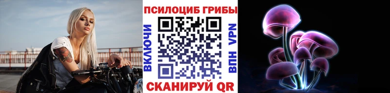 mega ссылки  Владимир  Псилоцибиновые грибы Cubensis 