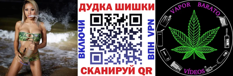 Бошки Шишки план  Владимир 
